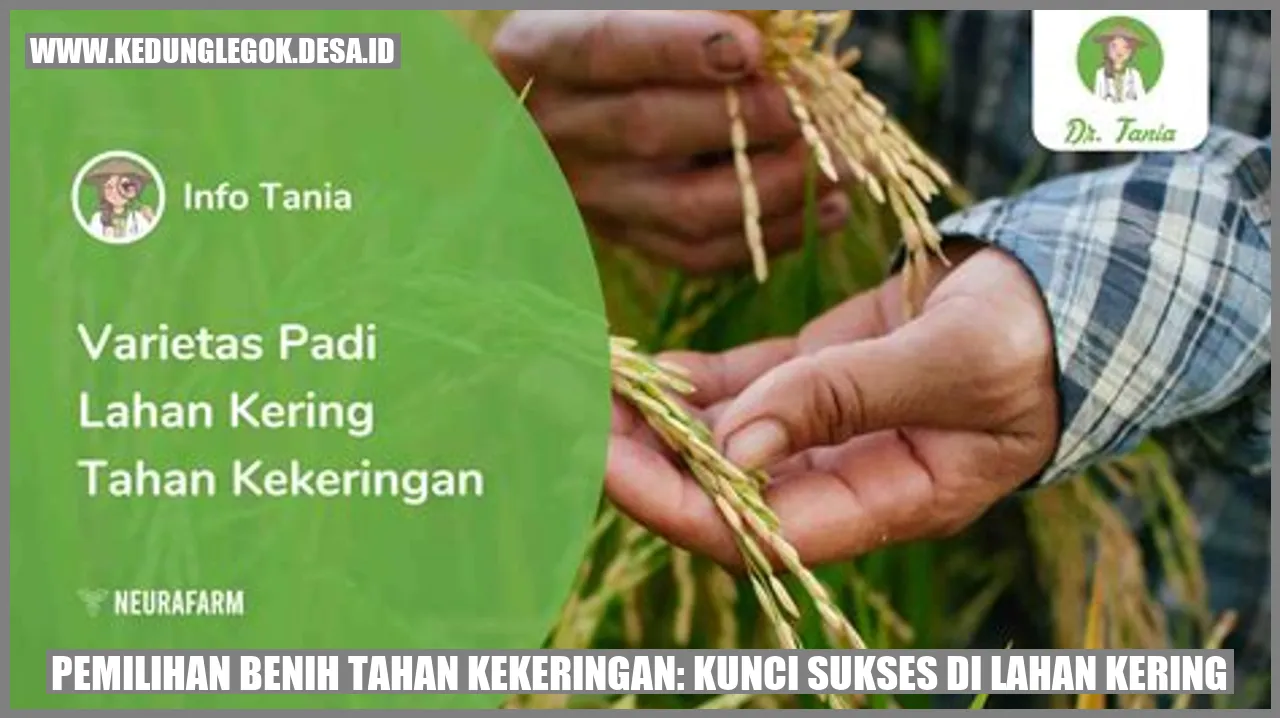 Pemilihan Benih Tahan Kekeringan: Kunci Sukses di Lahan Kering