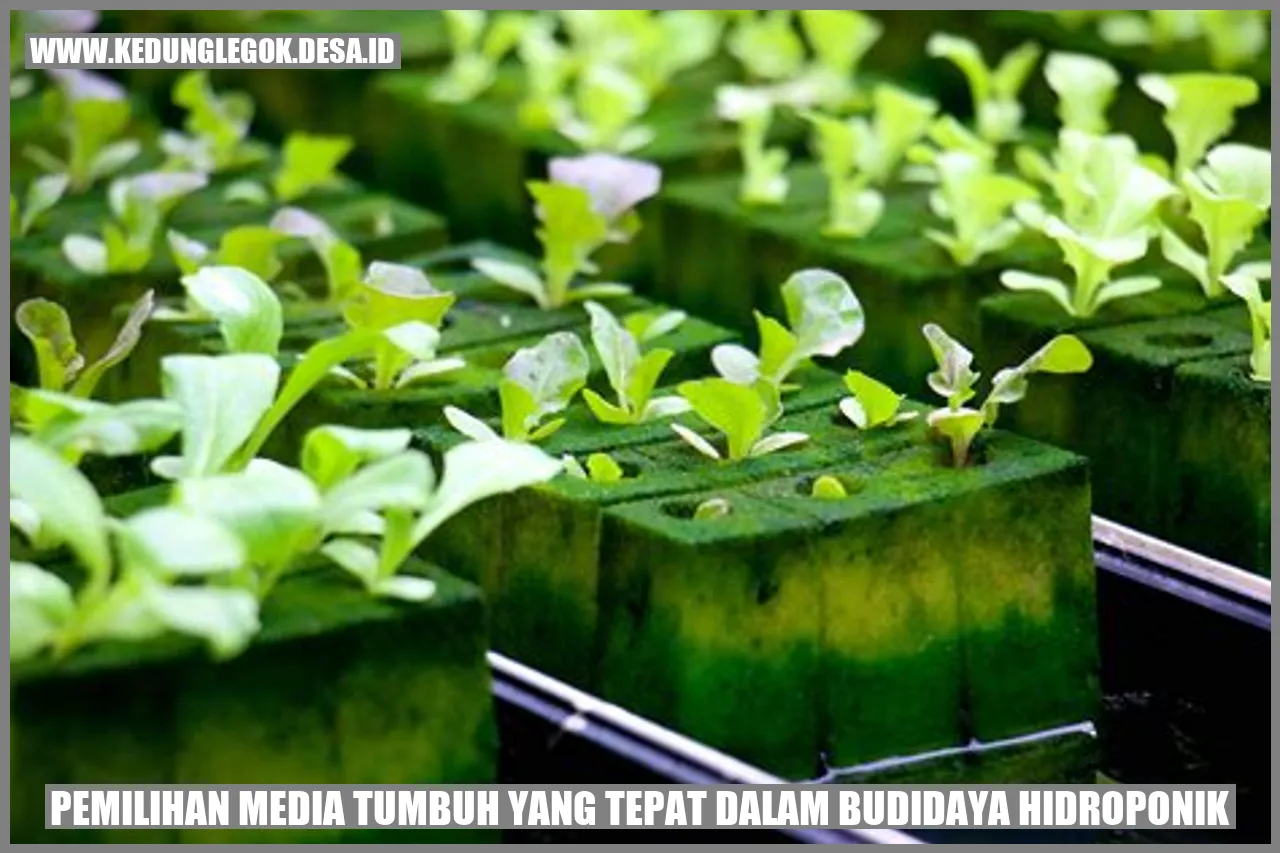 Pemilihan Media Tumbuh yang Tepat dalam Budidaya Hidroponik