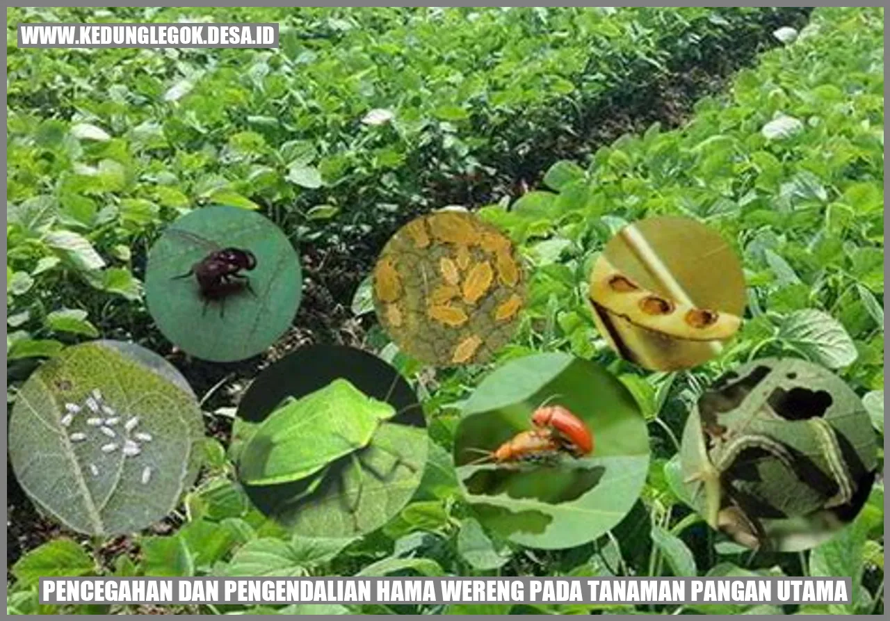 Wereng