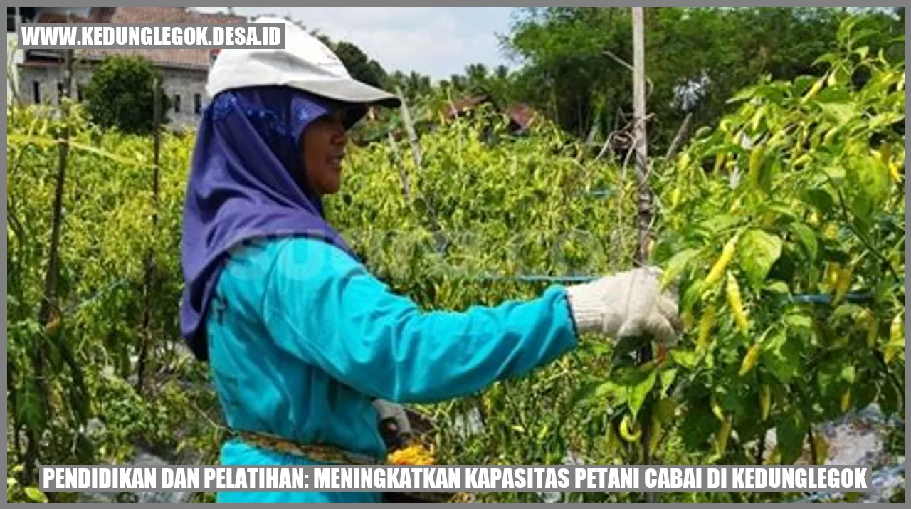 Pendidikan dan Pelatihan: Meningkatkan Kapasitas Petani Cabai di Kedunglegok