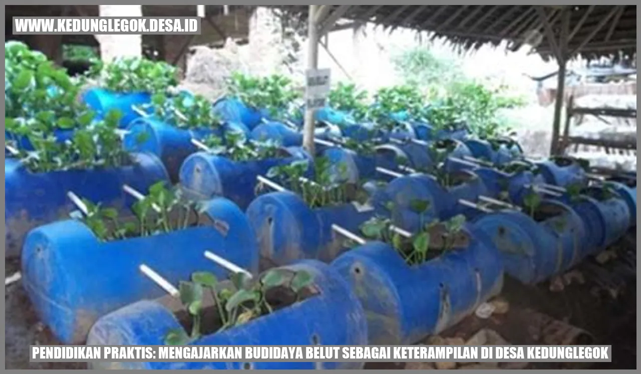 Pendidikan Praktis: Mengajarkan Budidaya Belut sebagai Keterampilan di Desa Kedunglegok