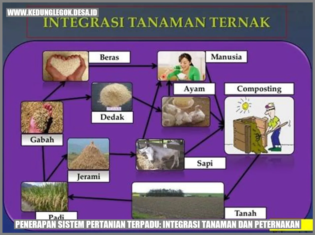 Penerapan Sistem Pertanian Terpadu: Integrasi Tanaman dan Peternakan