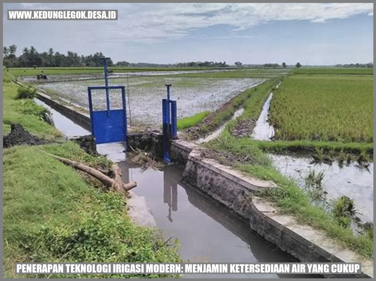 Penerapan Teknologi Irigasi Modern: Menjamin Ketersediaan Air yang Cukup