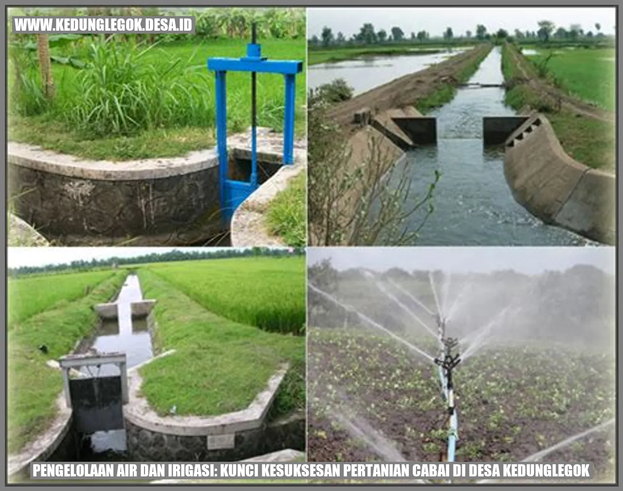 Pengelolaan Air dan Irigasi: Kunci Kesuksesan Pertanian Cabai di Desa Kedunglegok