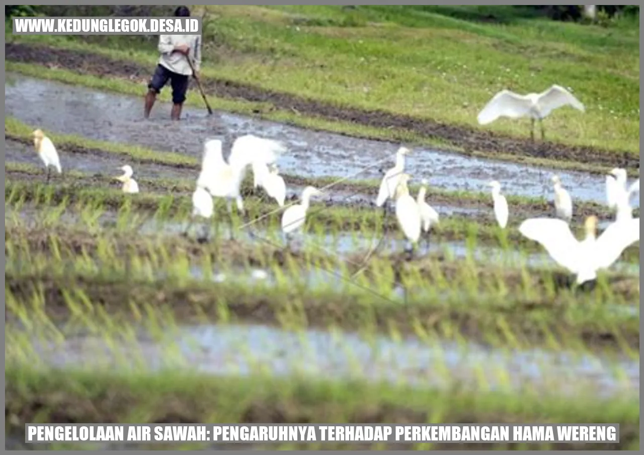 Pengelolaan Air Sawah: Pengaruhnya terhadap Perkembangan Hama Wereng