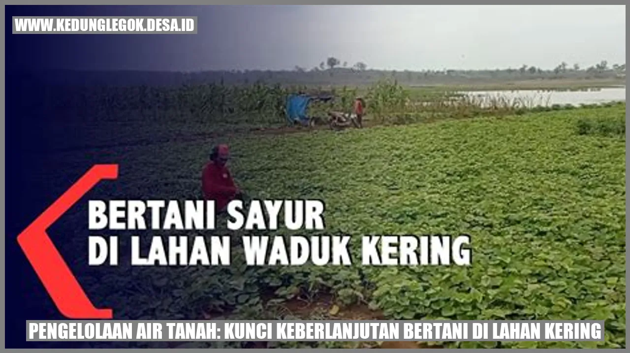 Pengelolaan Air Tanah: Kunci Keberlanjutan Bertani di Lahan Kering