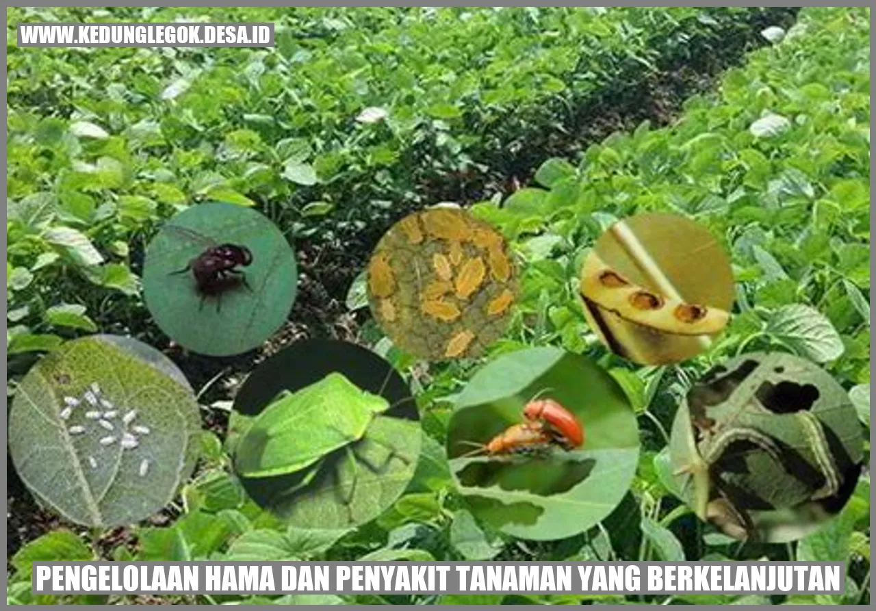 Pengelolaan Hama dan Penyakit Tanaman yang Berkelanjutan