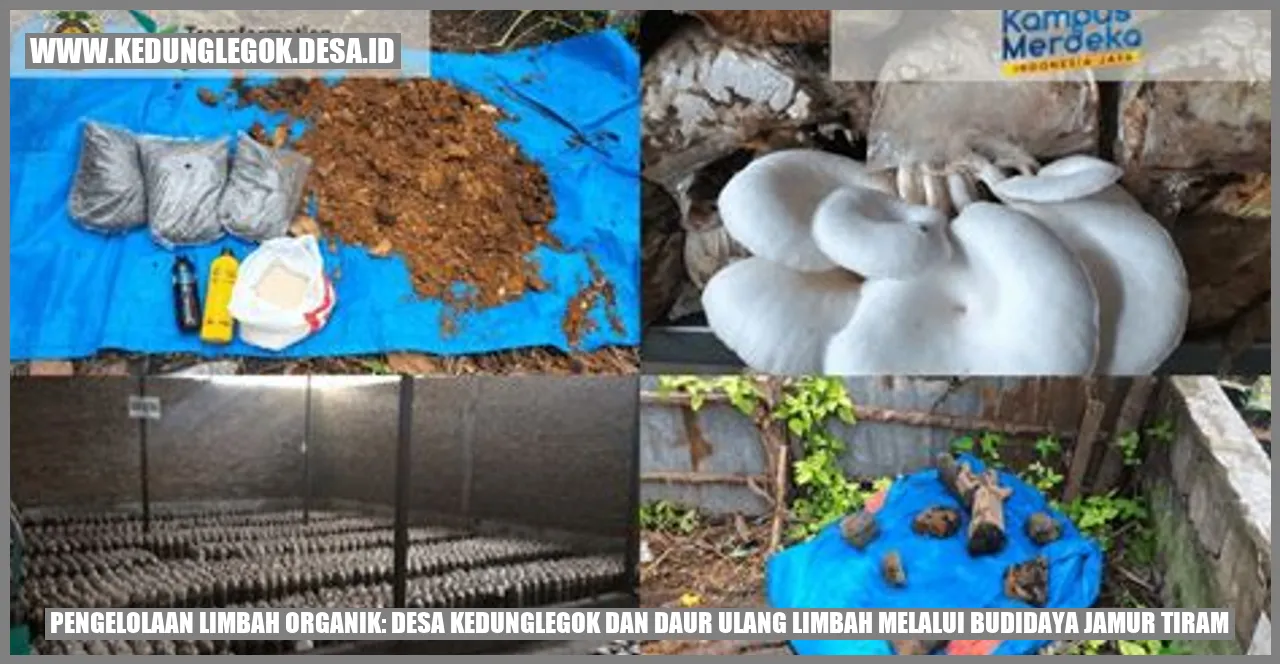 Pengelolaan Limbah Organik: Desa Kedunglegok dan Daur Ulang Limbah melalui Budidaya Jamur Tiram
