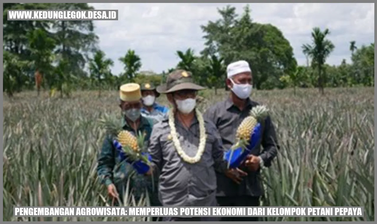 Pengembangan Agrowisata: Memperluas Potensi Ekonomi dari Kelompok Petani Pepaya