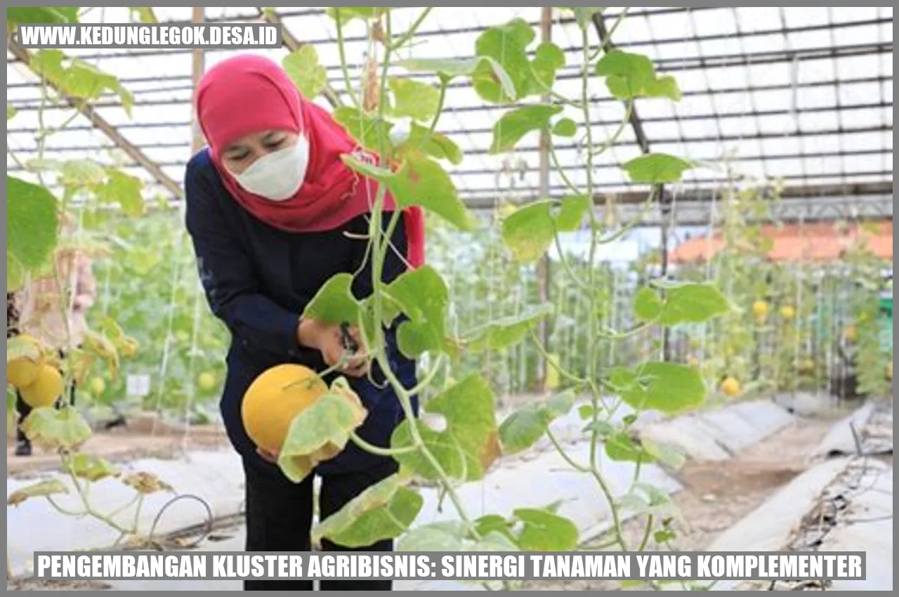 Pengembangan Kluster Agribisnis: Sinergi Tanaman yang Komplementer