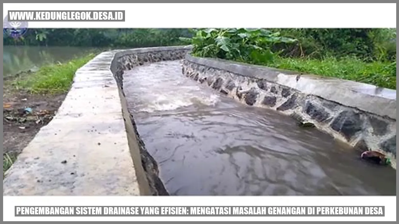 Gambar: Pengembangan Sistem Drainase yang Efisien: Mengatasi Masalah Genangan di Perkebunan Desa