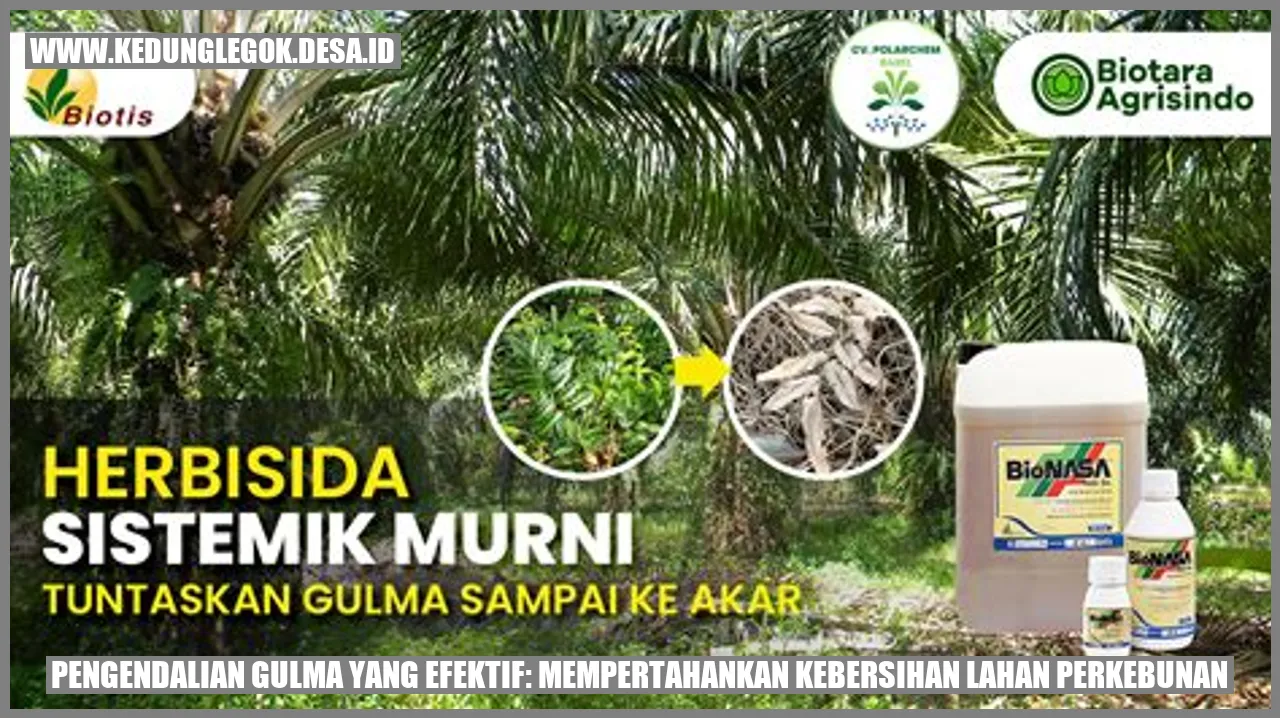 Pengendalian Gulma yang Efektif: Mempertahankan Kebersihan Lahan Perkebunan
