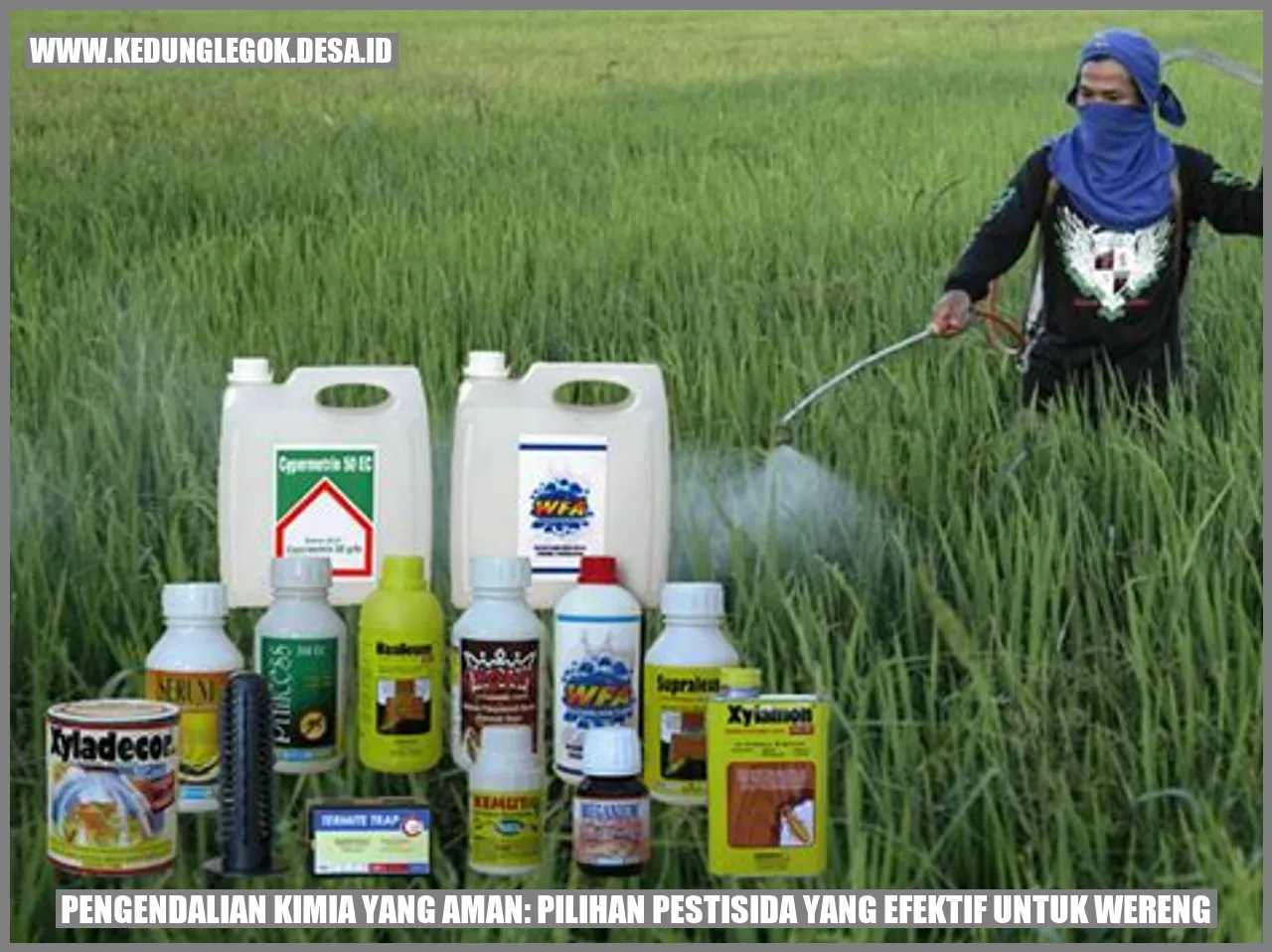 Pengendalian Kimia yang Aman: Pilihan Pestisida yang Efektif untuk Wereng