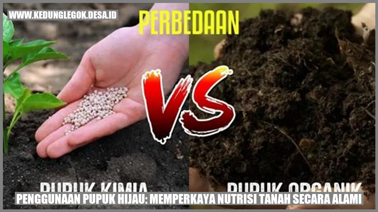 Penggunaan Pupuk Hijau: Memperkaya Nutrisi Tanah secara Alami