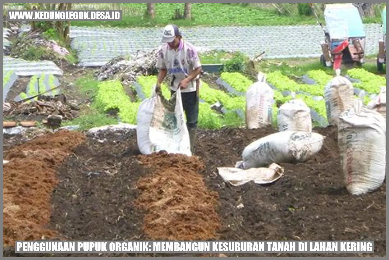 Penggunaan Pupuk Organik: Membangun Kesuburan Tanah di Lahan Kering