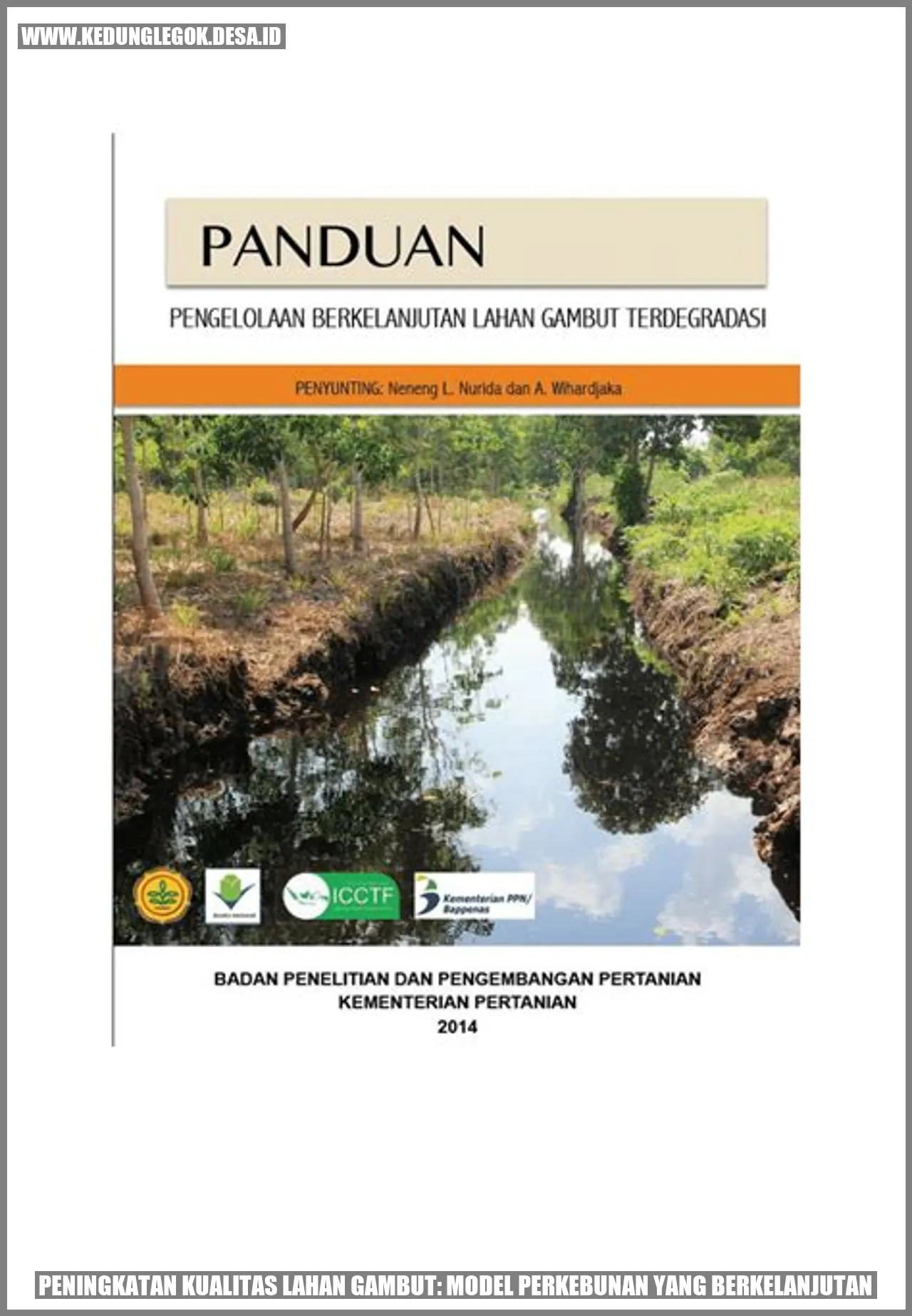Peningkatan Kualitas Lahan Gambut: Model Perkebunan yang Berkelanjutan