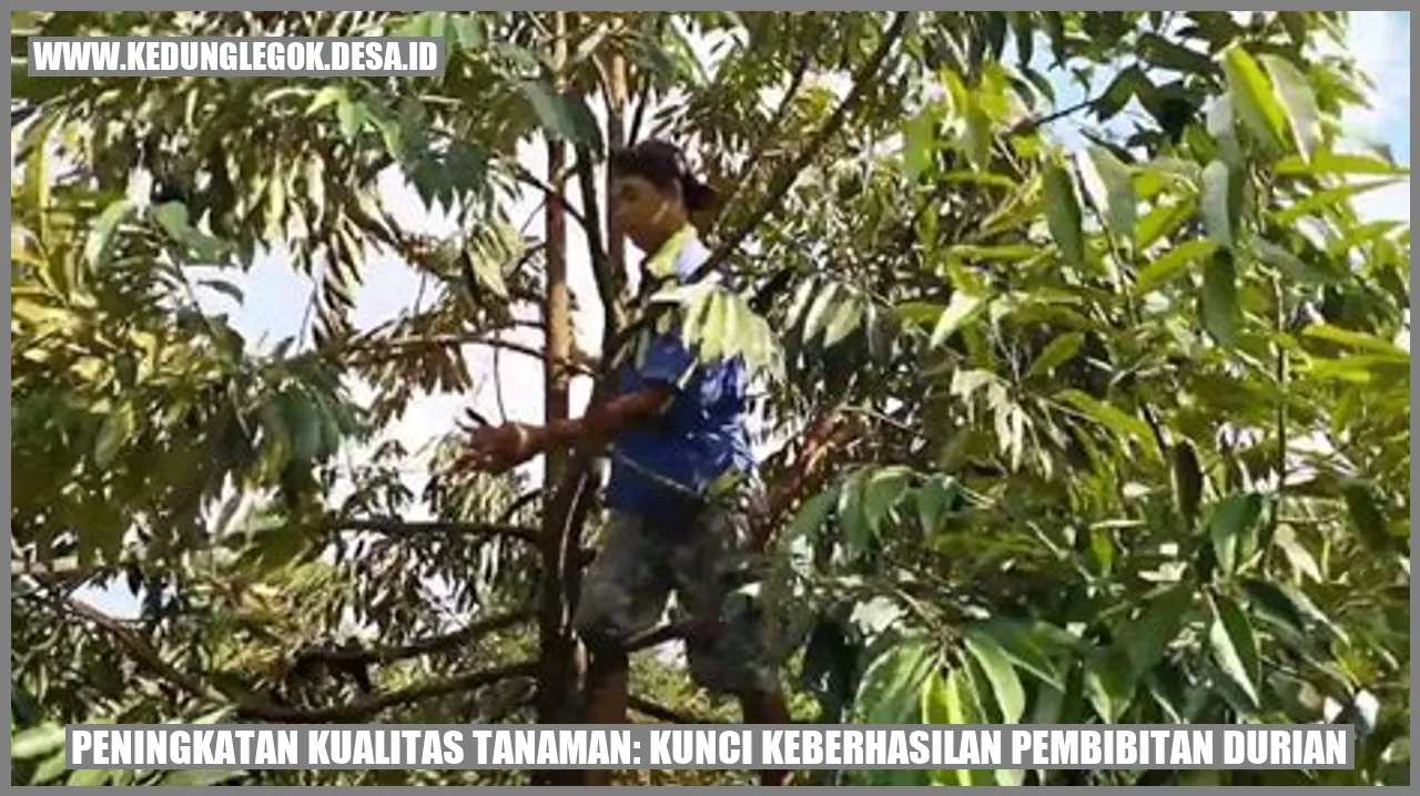 Durian Image