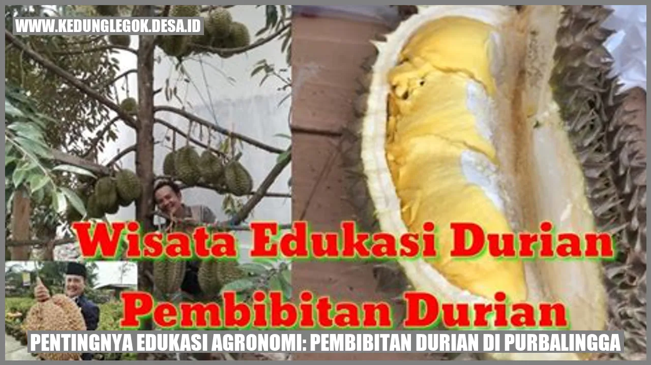 Pentingnya Edukasi Agronomi: Pembibitan Durian di Purbalingga