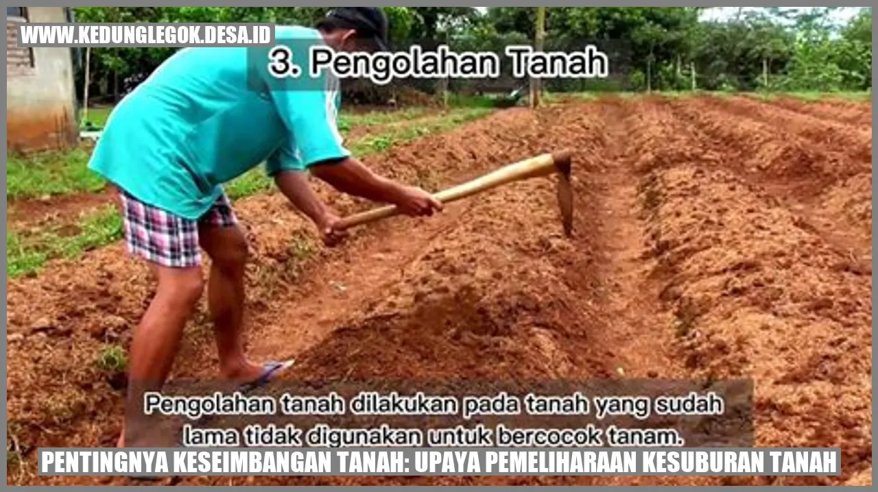 Pentingnya Keseimbangan Tanah: Upaya Pemeliharaan Kesuburan Tanah