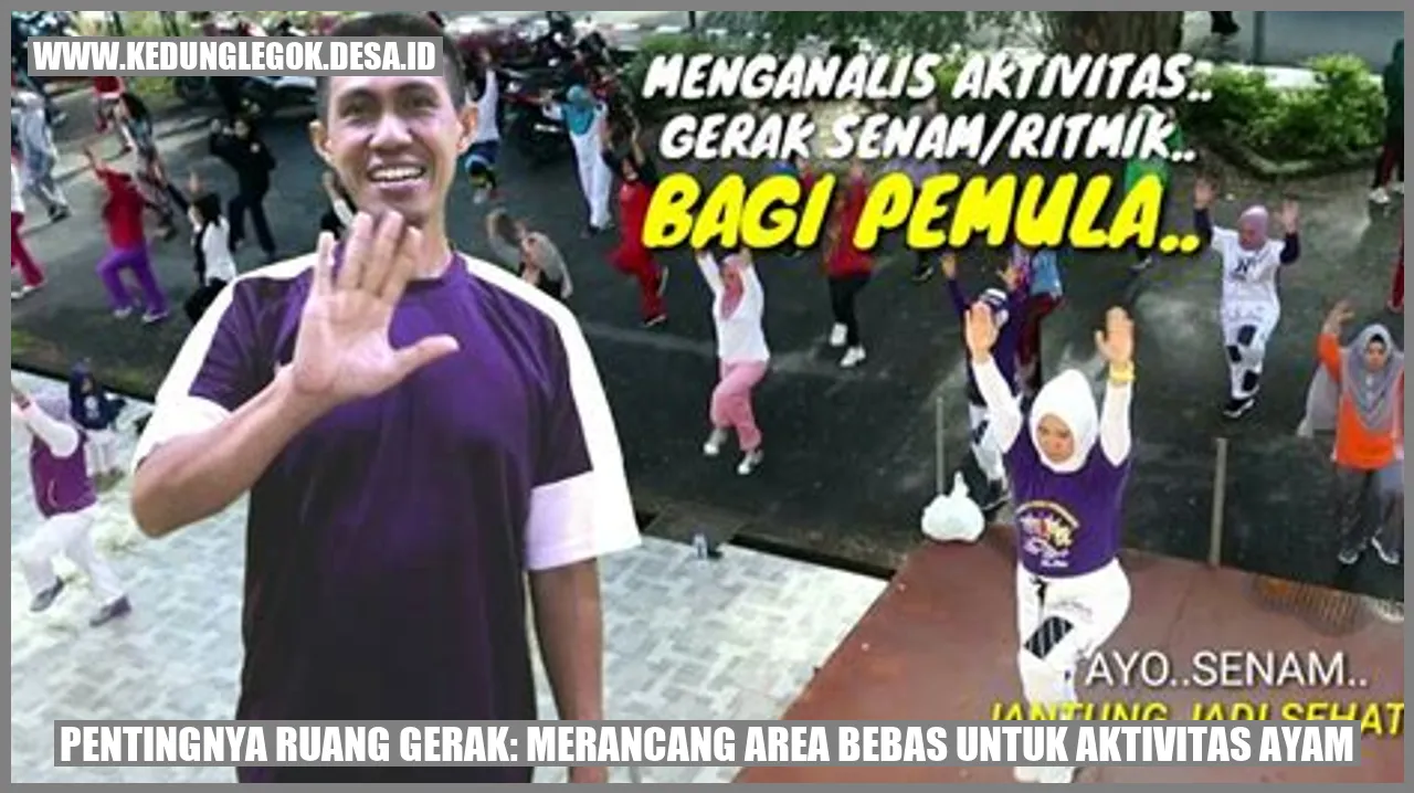 Peranan Ruang Aktivitas Ayam