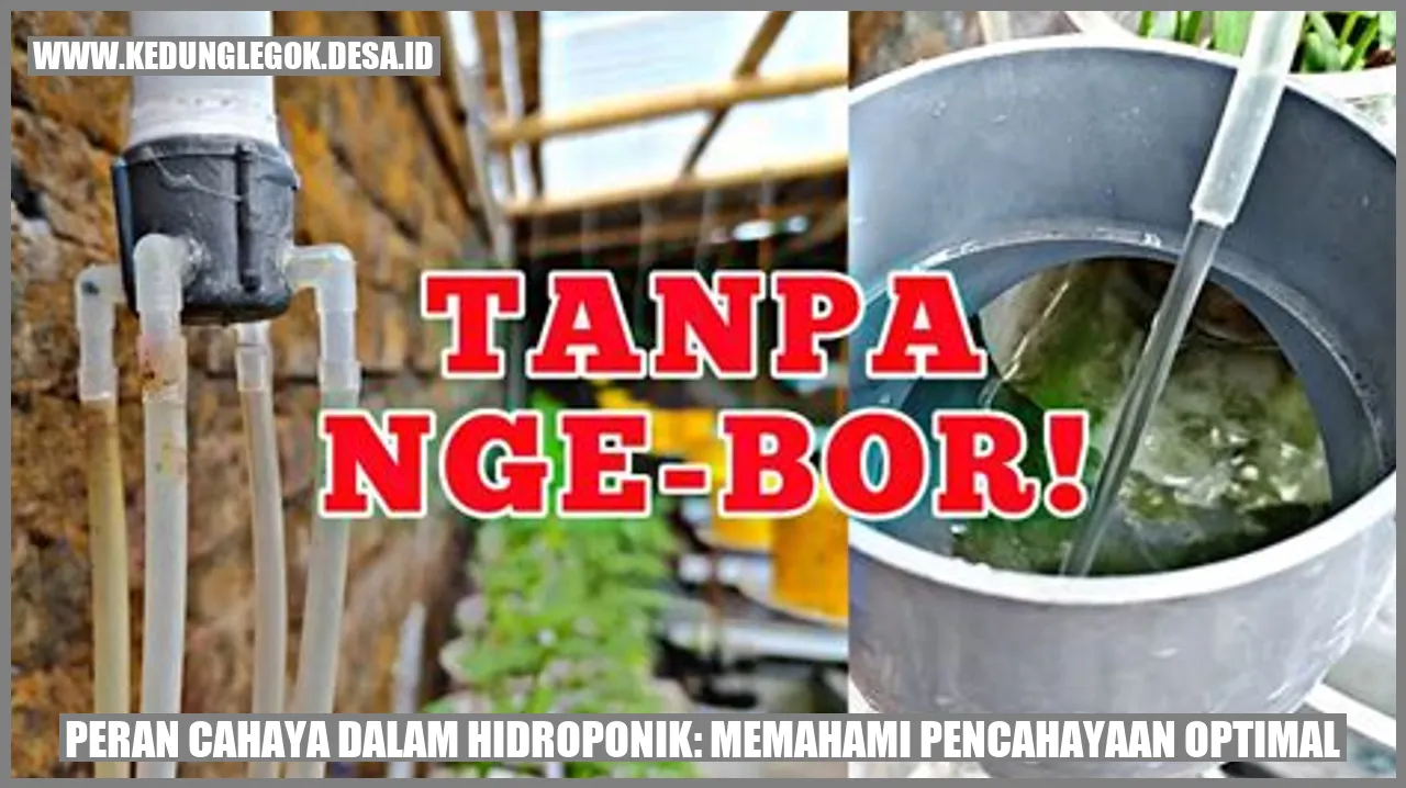 Peran Cahaya dalam Hidroponik: Memahami Pencahayaan Optimal