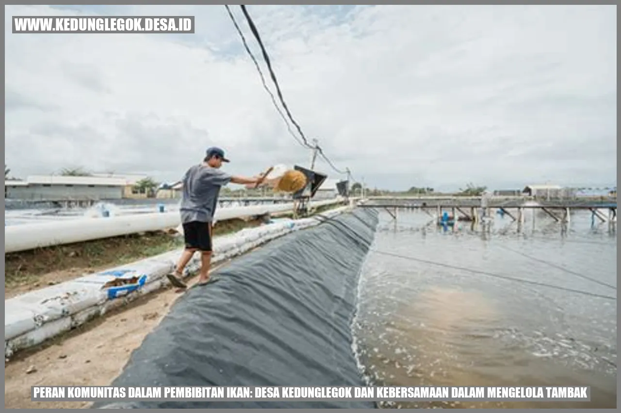 Peran Komunitas dalam Pembibitan Ikan: Desa Kedunglegok dan Kebersamaan dalam Mengelola Tambak