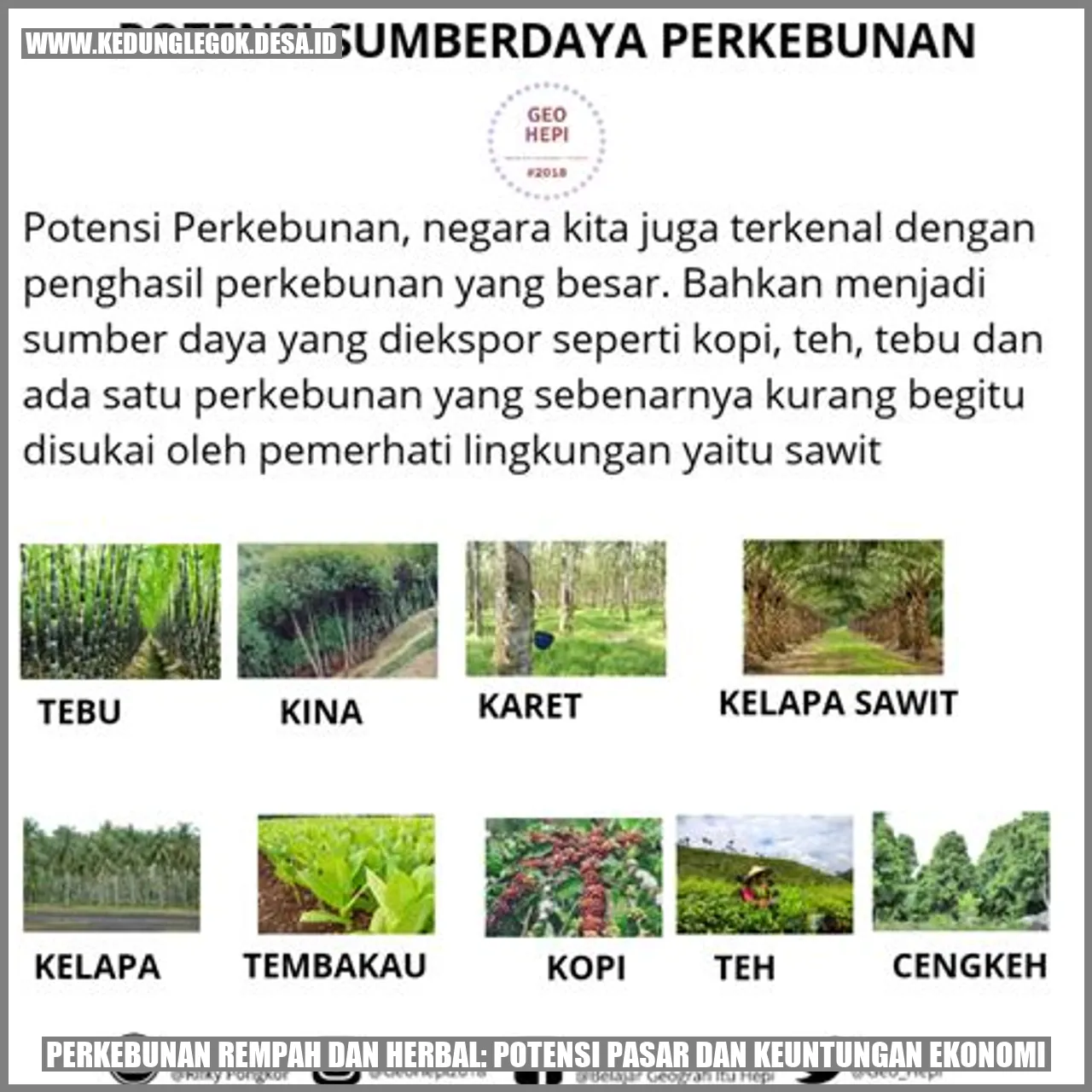 Perkebunan Rempah dan Herbal: Potensi Pasar dan Keuntungan Ekonomi