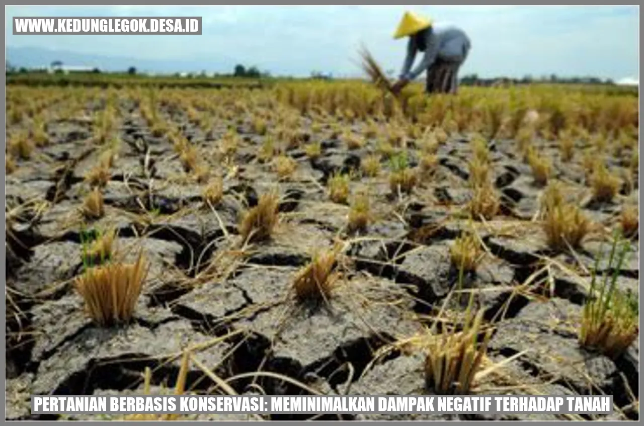 Pertanian Berbasis Konservasi