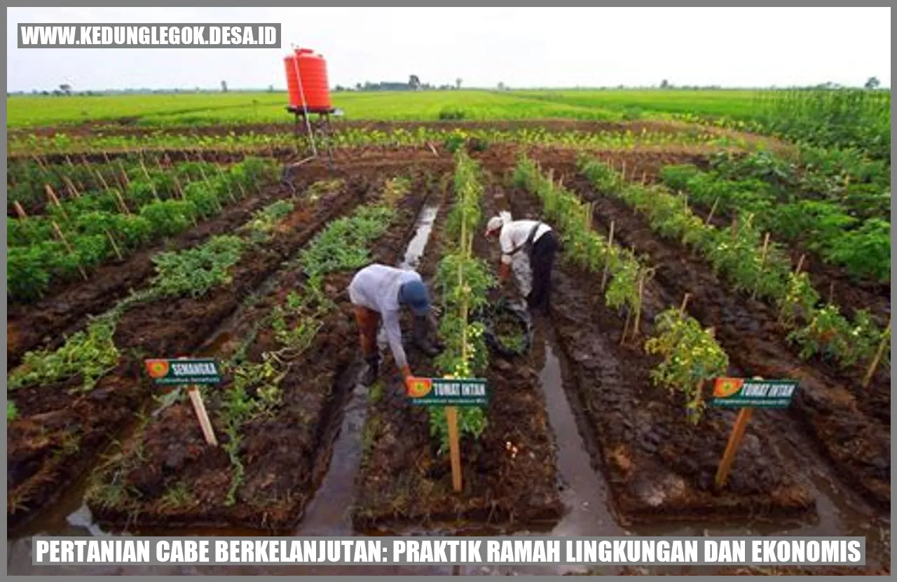 Pertanian Cabe Berkelanjutan: Praktik Ramah Lingkungan dan Ekonomis