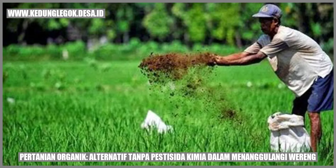 Pertanian Organik: Alternatif Tanpa Pestisida Kimia dalam Menanggulangi Wereng