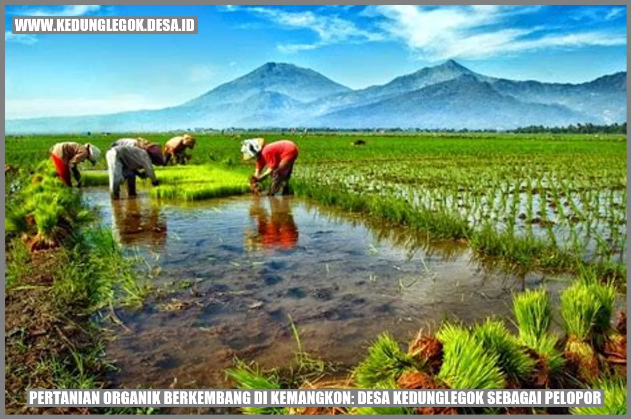 Pertanian Organik Berkembang di Kemangkon: Desa Kedunglegok sebagai Pelopor