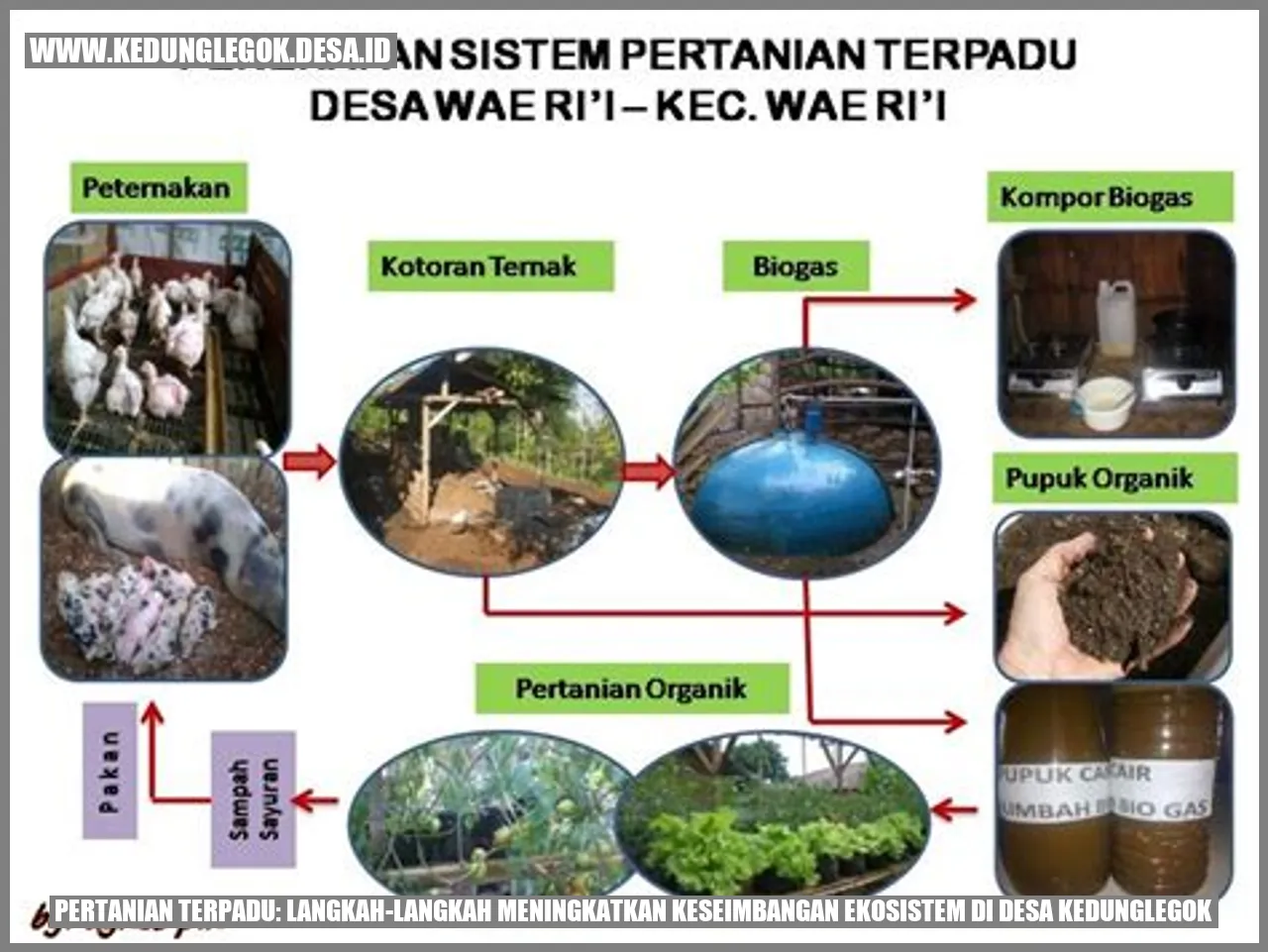 Pertanian Terpadu: Langkah-langkah Meningkatkan Keseimbangan Ekosistem di Desa Kedunglegok