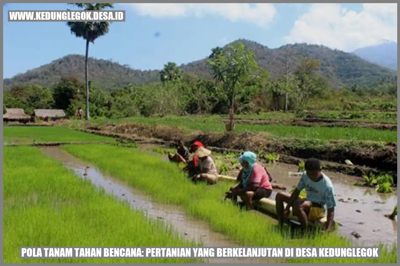 Gambar Pola Tanam Tahan Bencana