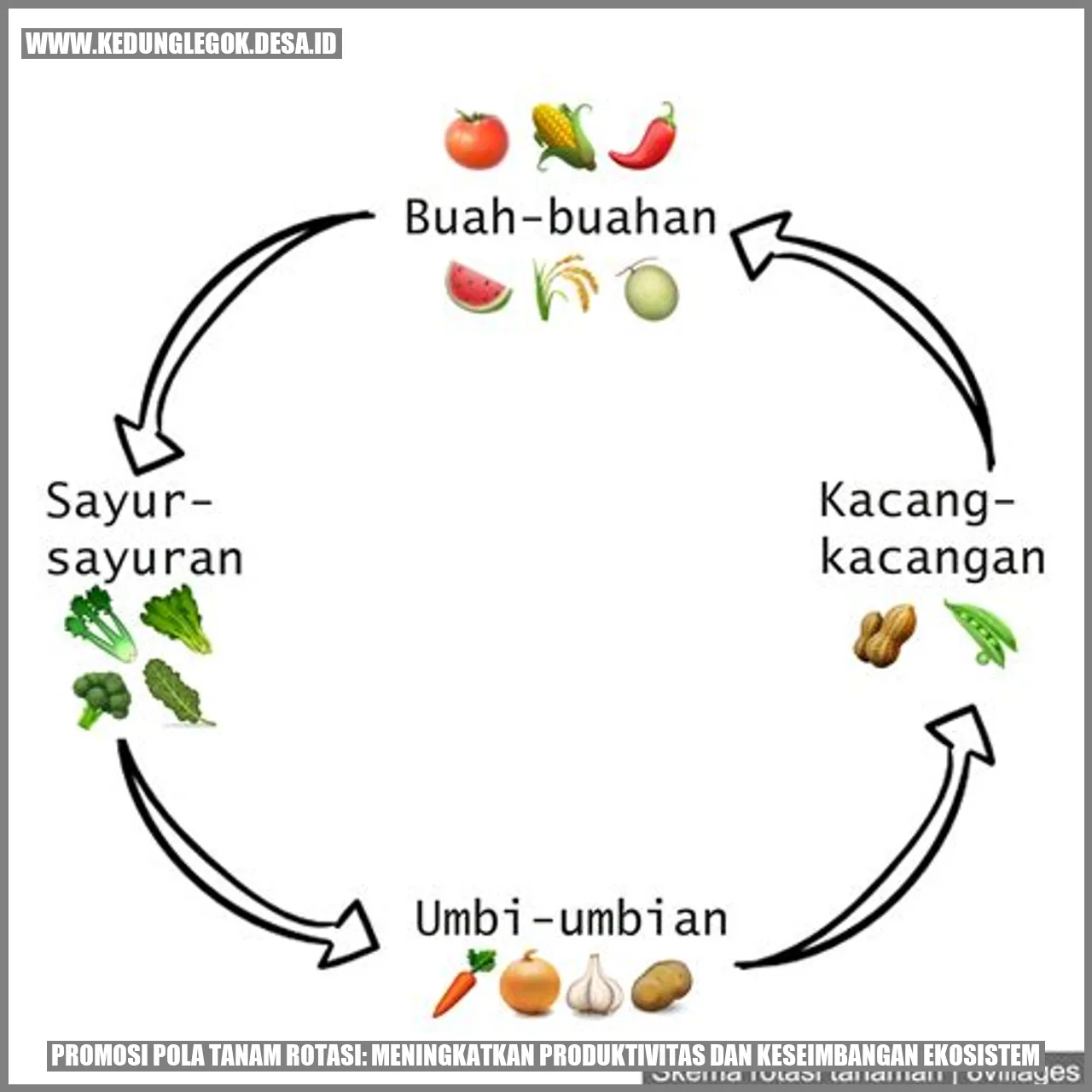 Gambar Pola Tanam Rotasi