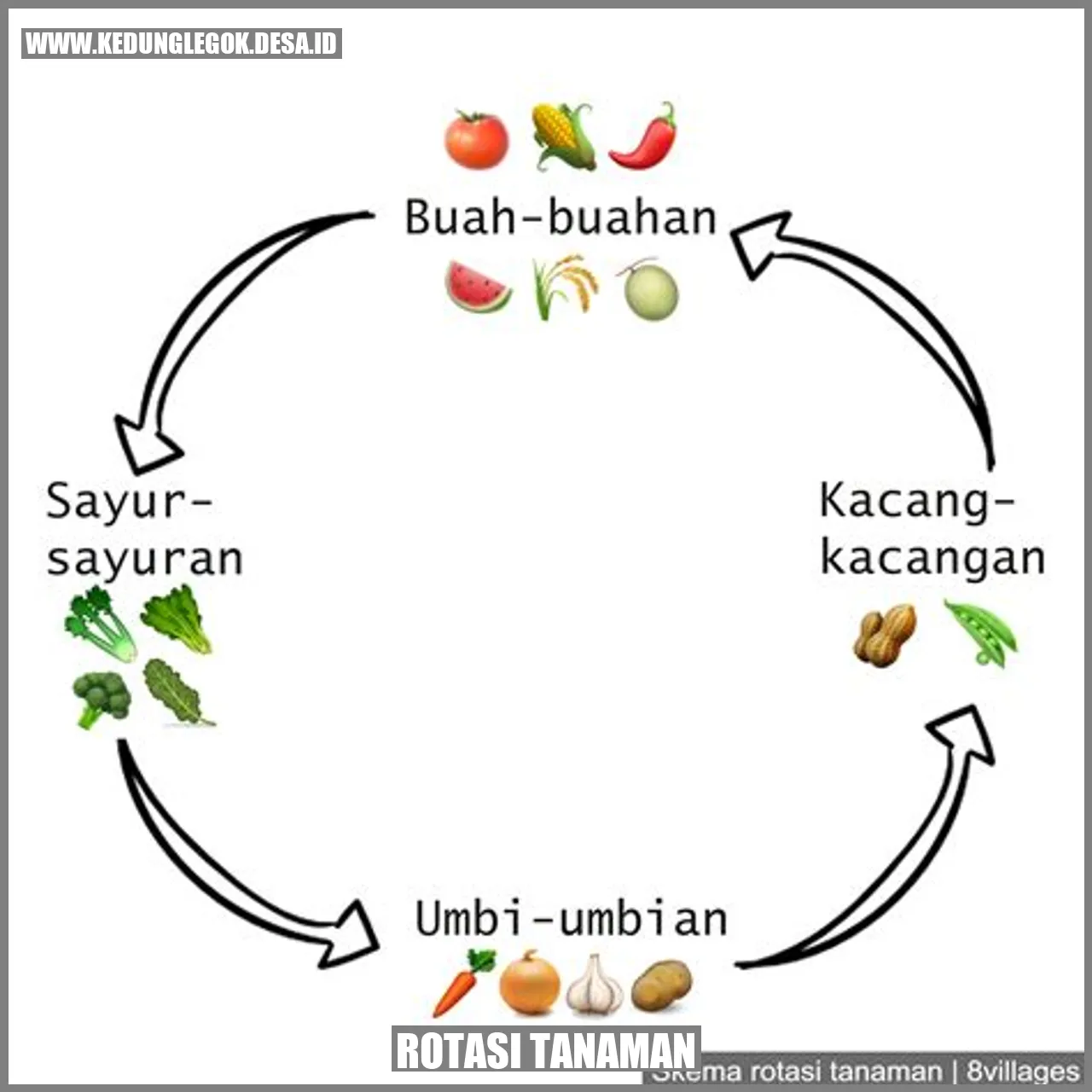 Gambar Rotasi Tanaman