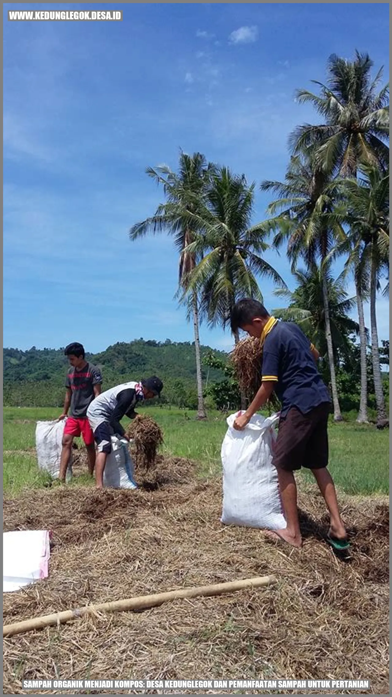 Gambar Sampah Organik menjadi Kompos