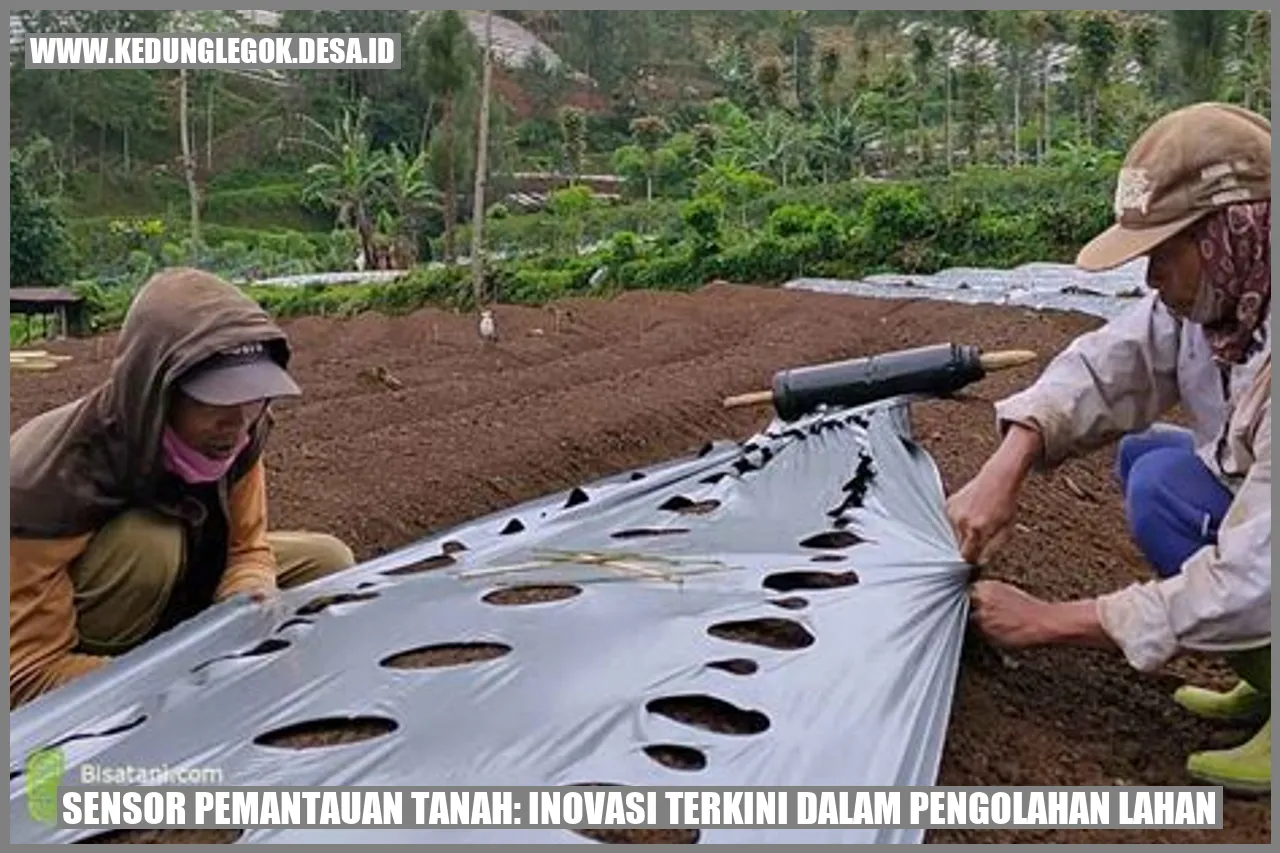 Sensor Pemantauan Tanah: Inovasi Terkini dalam Pengolahan Lahan
