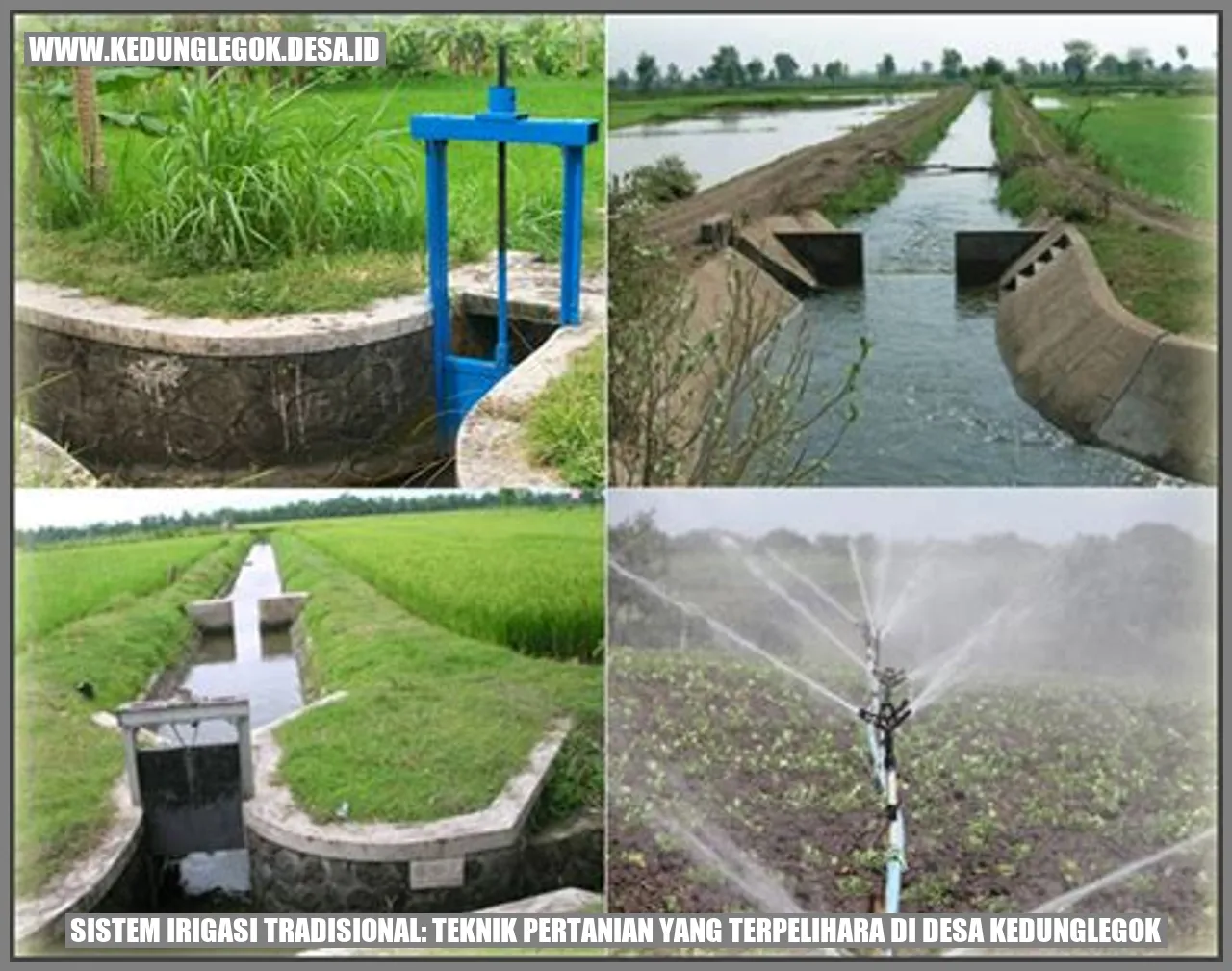 Sistem Irigasi Tradisional: Teknik Pertanian yang Terpelihara di Desa Kedunglegok