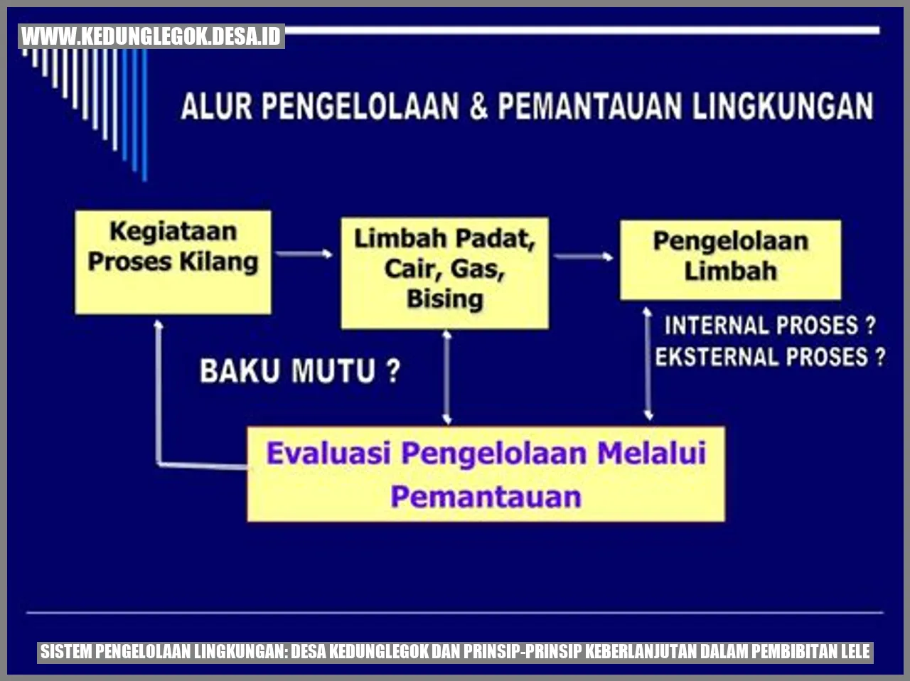 Sistem Pengelolaan Lingkungan: Desa Kedunglegok dan Prinsip-prinsip Keberlanjutan dalam Pembibitan Lele