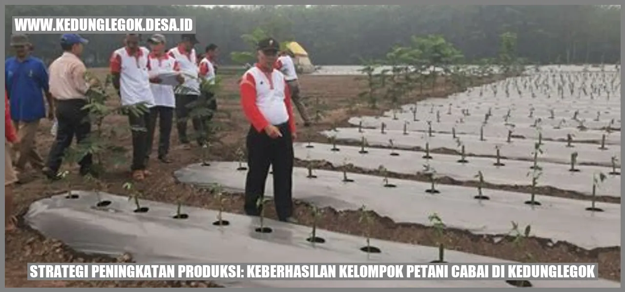 Gambar Petani Cabai di Kedunglegok