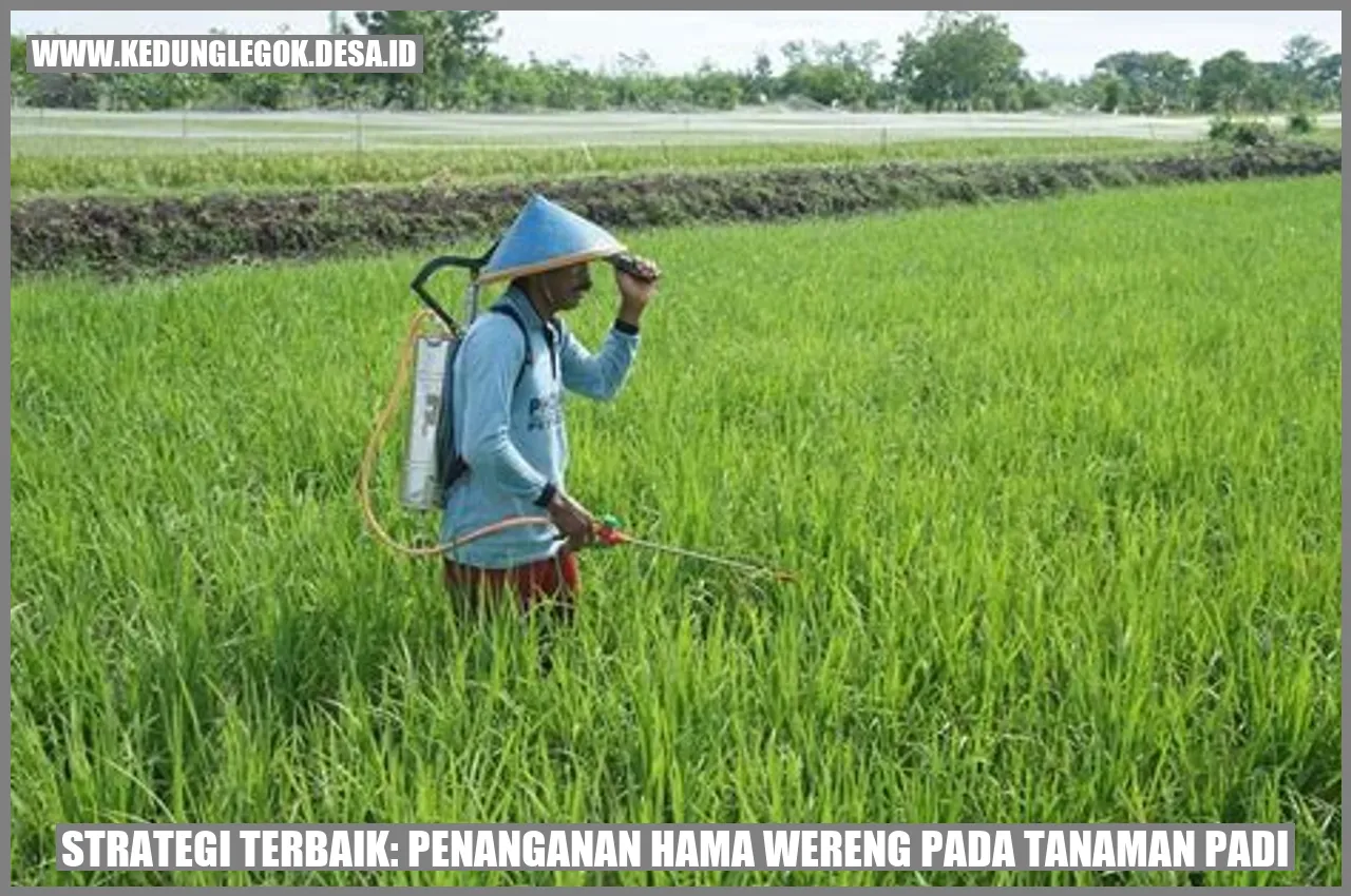 Gambar Padi