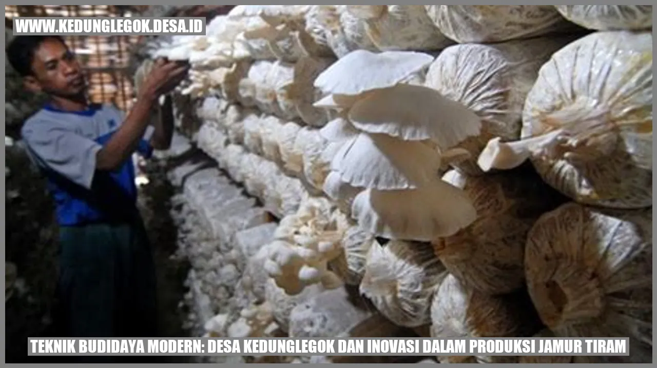 Teknik Budidaya Modern: Desa Kedunglegok dan Inovasi dalam Produksi Jamur Tiram
