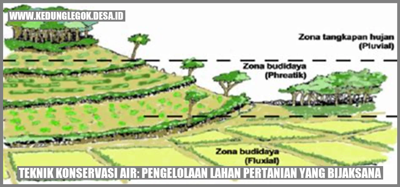Teknik Konservasi Air: Pengelolaan Lahan Pertanian yang Bijaksana