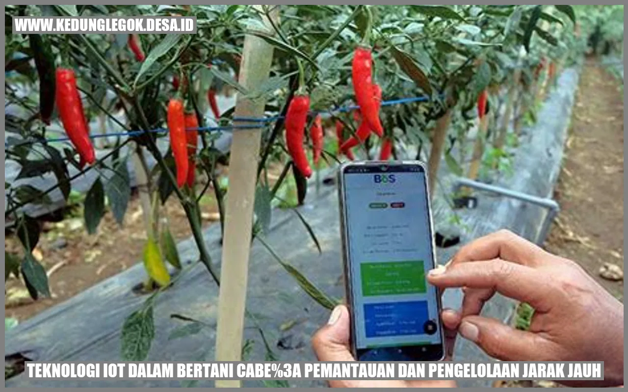Teknologi IoT dalam Bertani Cabe: Pemantauan dan Pengelolaan Jarak Jauh