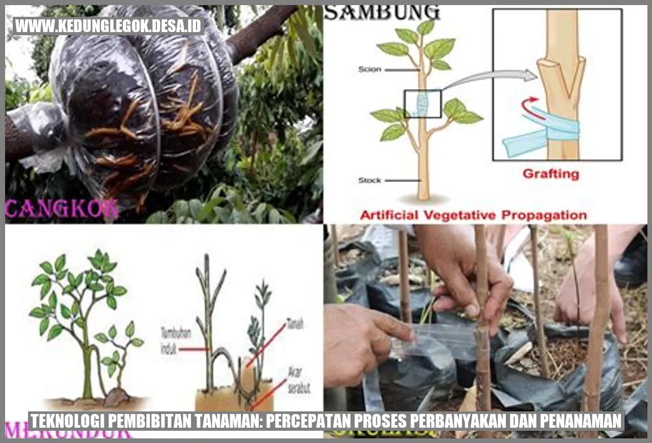 Teknologi Pembibitan Tanaman: Percepatan Proses Perbanyakan dan Penanaman